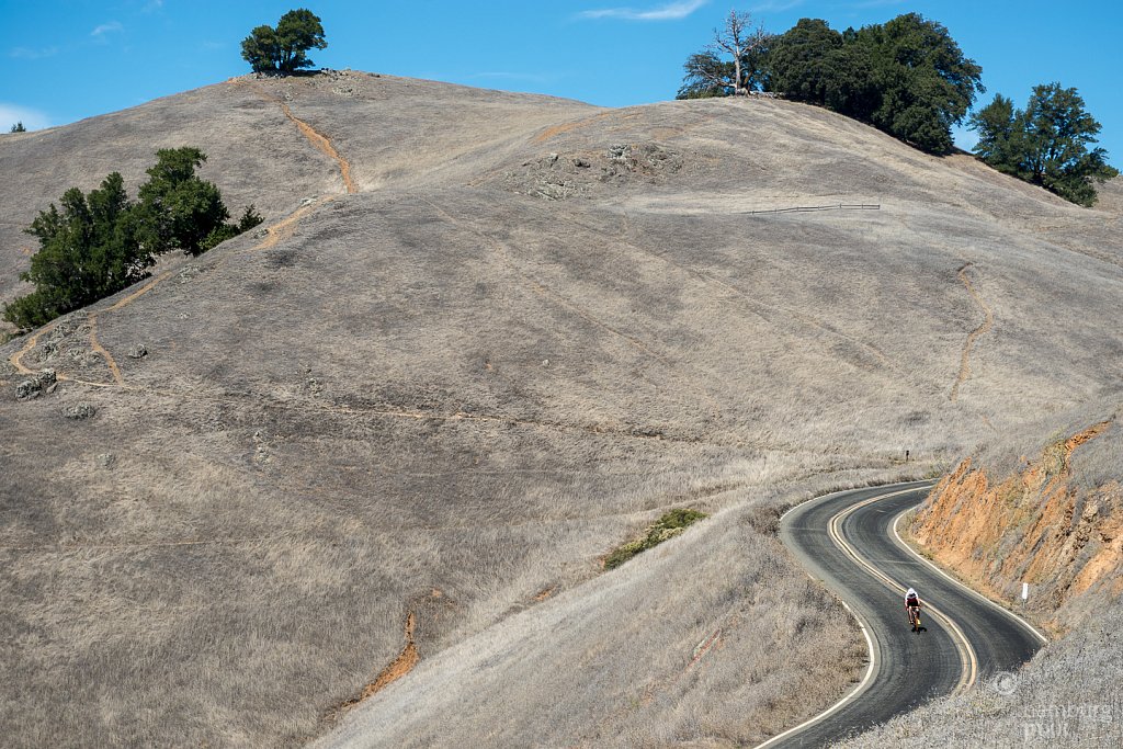 Mount Tamalpais State Park 1