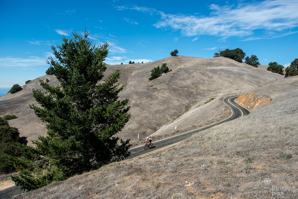 Mount Tamalpais State Park 2